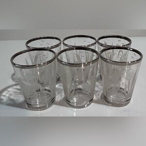 Vintage Etched Swan Glasses – Silver Rim Shot Glass Set of 6